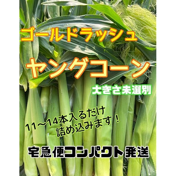 6/13発送　訳ありヤングコーン Amazon.co.jp: ヤングコーン 500g 業務用 冷凍 コーン